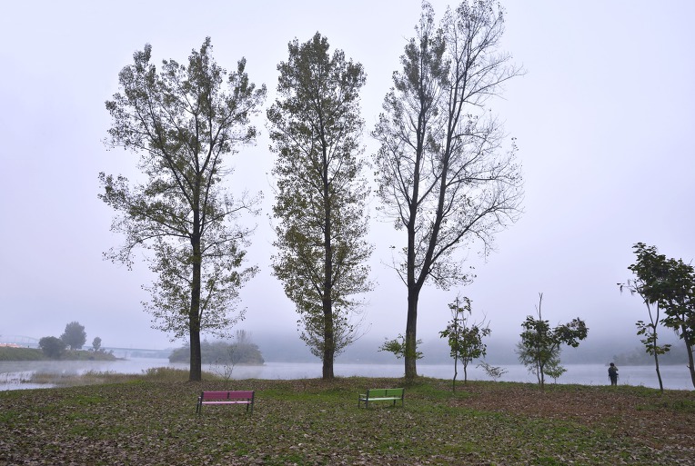 가을 바람에 구절초가 