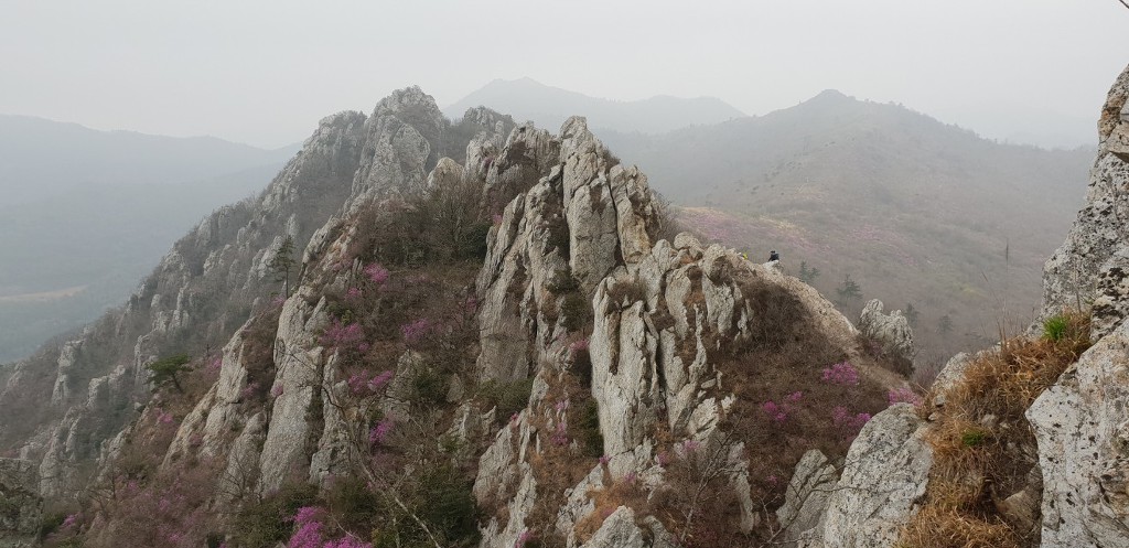 덕룡산2019,4,7)