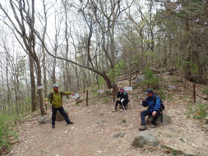 1045- 慶州 南山 고위봉(高位峯:494m)을 다녀왔어요.