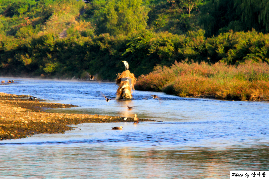 양재천 이른 가을 단상(18.10.3)