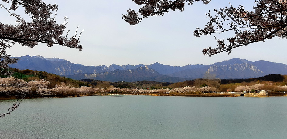 오랜만에 딸네 집으로 마실을 갔습니다.