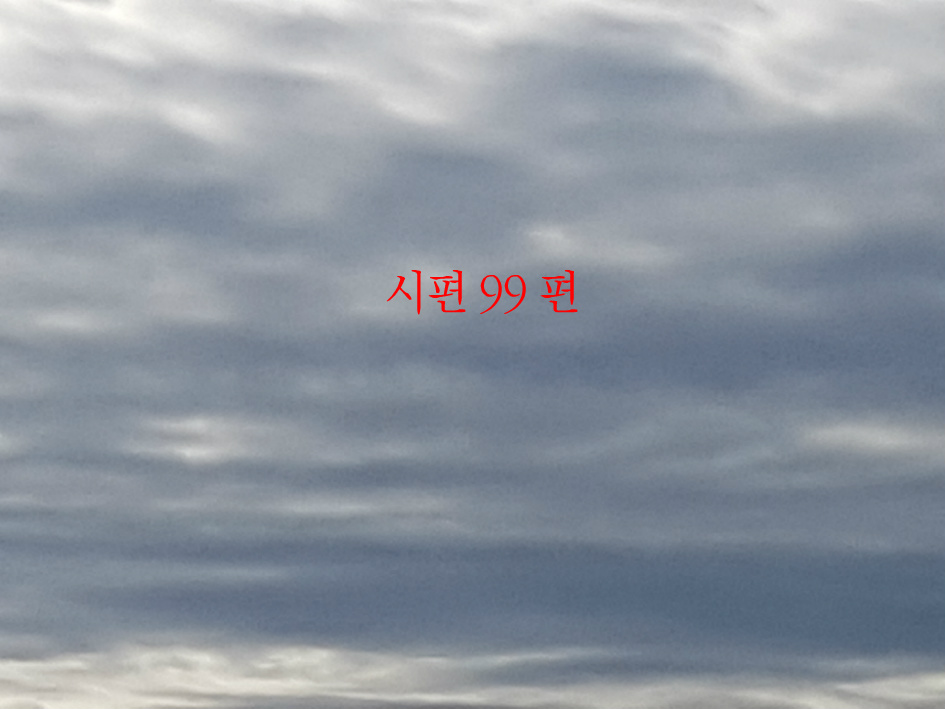 시편 99편