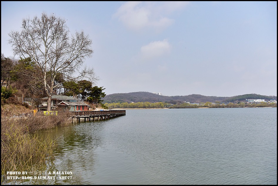 [경기화성] 보통리 저수지 산책로 풍경!