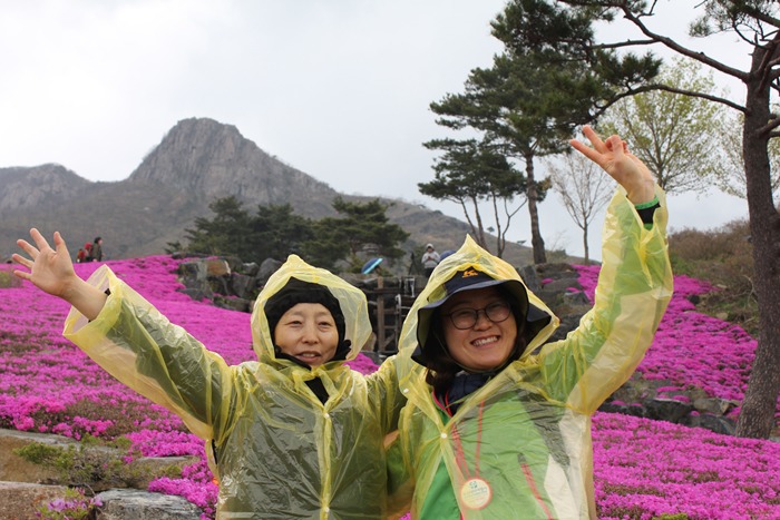 원본이미지(클릭)