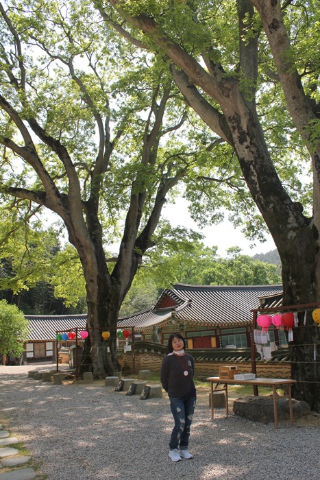 원본이미지(클릭)