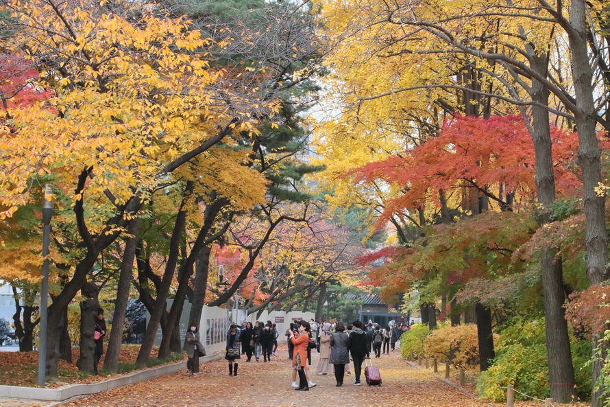 덕수궁의 가을색